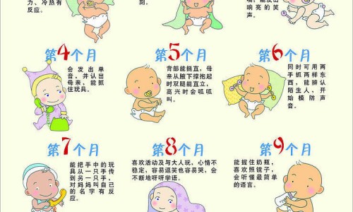 补肾壮阳的食物有那些-补肾壮阳的食物第一名网—知名的补肾壮阳食物大全网站,分享补肾壮阳的食物有哪些知识